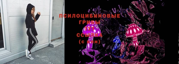 ALPHA PVP Дмитриев