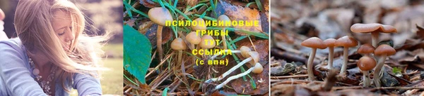 mix Дмитров