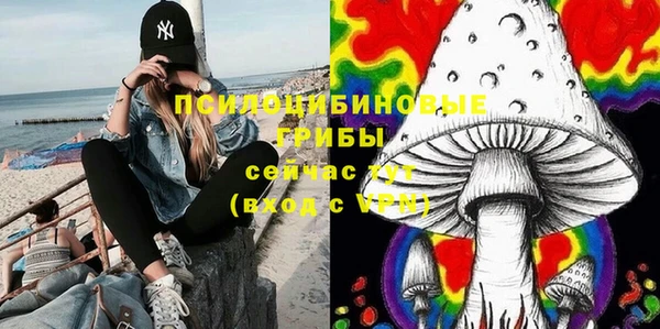 ALPHA PVP Дмитриев