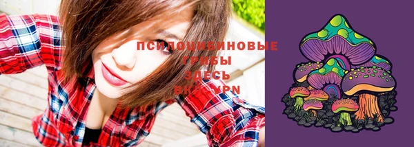 спайс Дмитровск